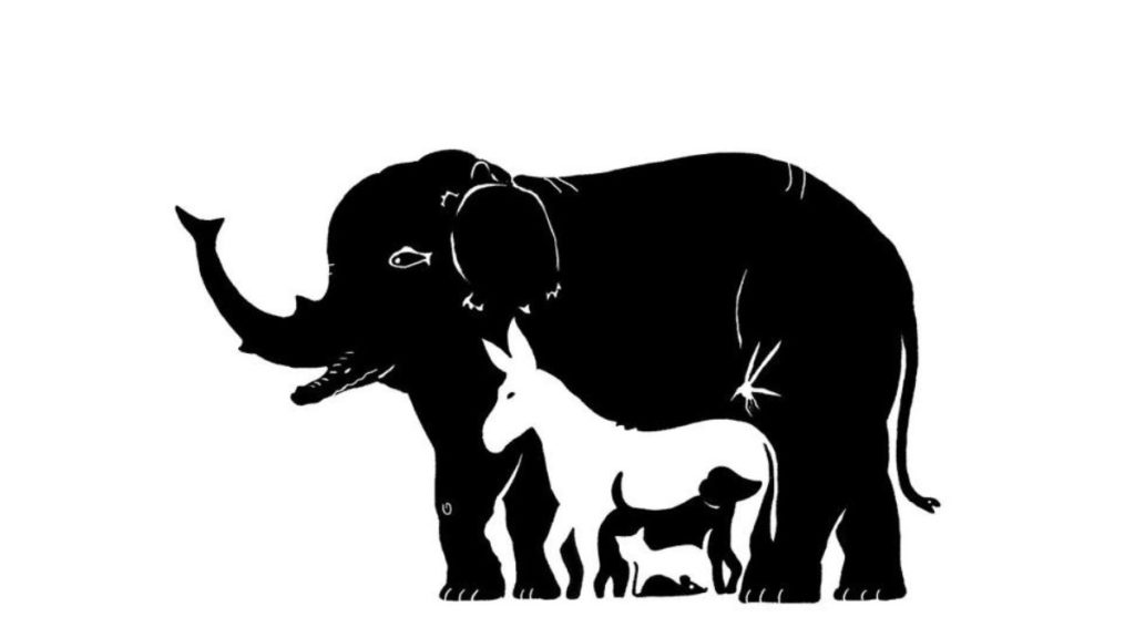 Gioco Da Tavolo Bioviva Viva Montanya, Cooperativo Per Bambini 4+, Salva Gli Animali